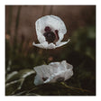 Lærredstryk - White Poppy - Incado