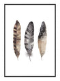 Plakat - Dotted Feathers - Incado