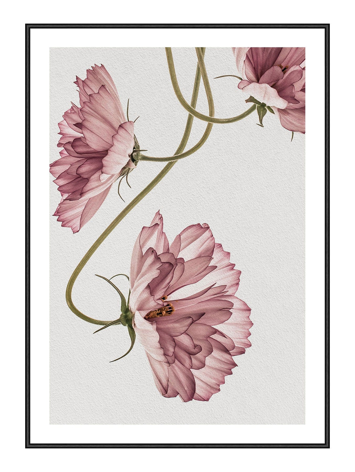 Dusty Pink 21 x 29,7  / A4 cm Plakat