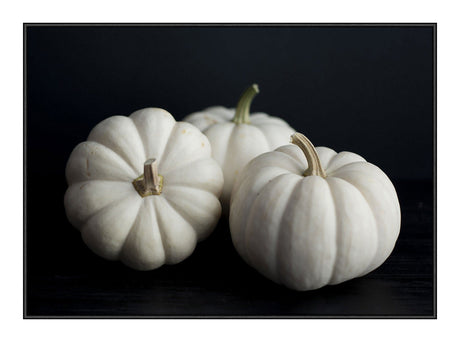 White Pumpkins 21 x 29,7  / A4 cm Plakat