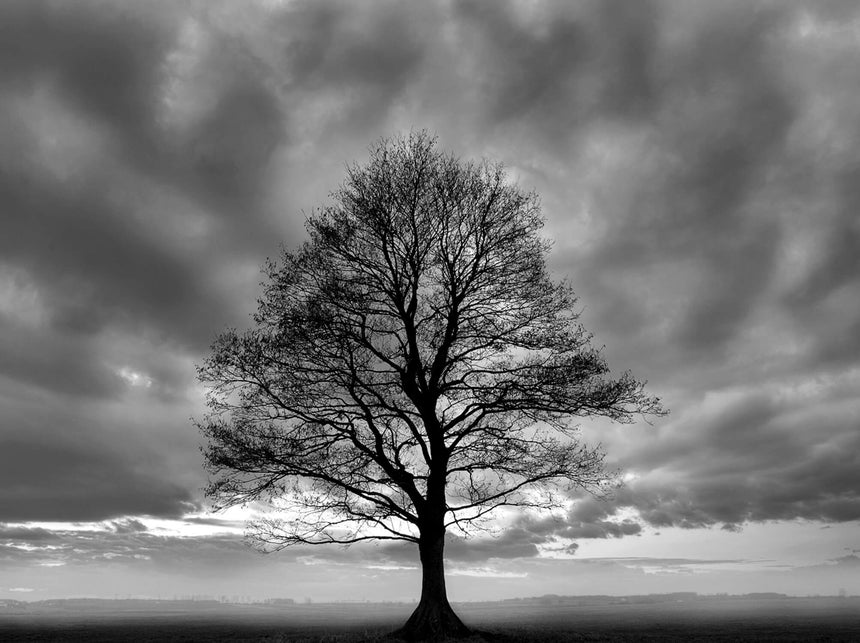 Lærredstryk - Tree - Incado