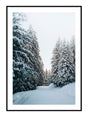 Plakat - Winter forest - Incado