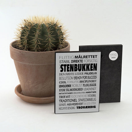 Art Block - Stenbukken - Incado