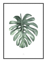 Water Leaf 50 x 70  cm Plakat
