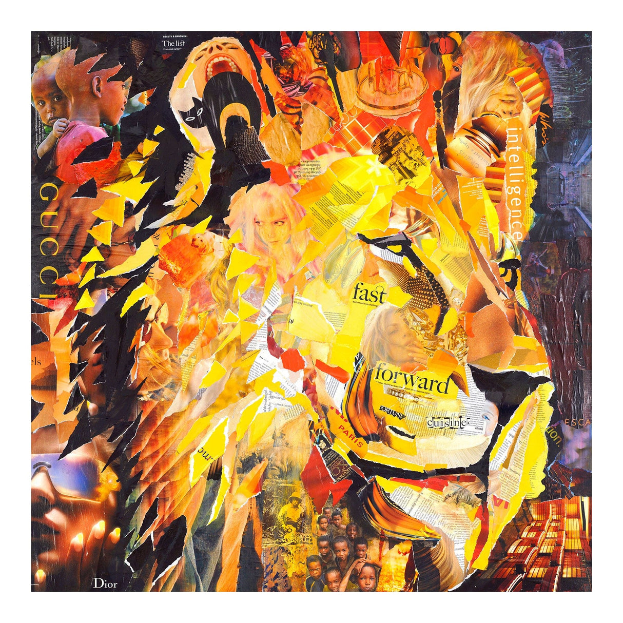 Golden Lion 70 x 70  cm Lærredstryk