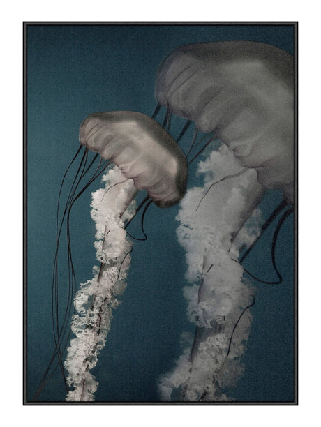 Jellyfish 1 50 x 70  cm Plakat