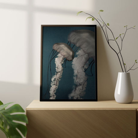 Jellyfish 1