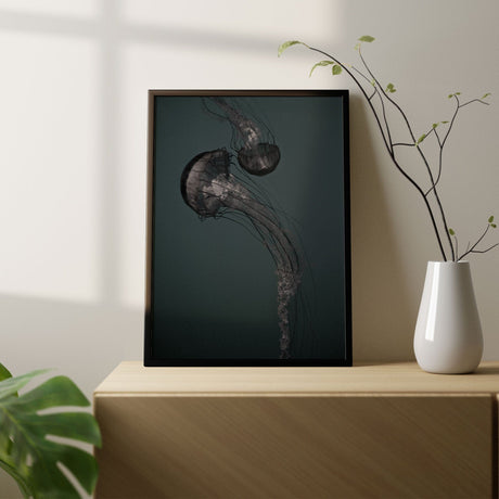 Plakat - Jellyfish Dark - Incado